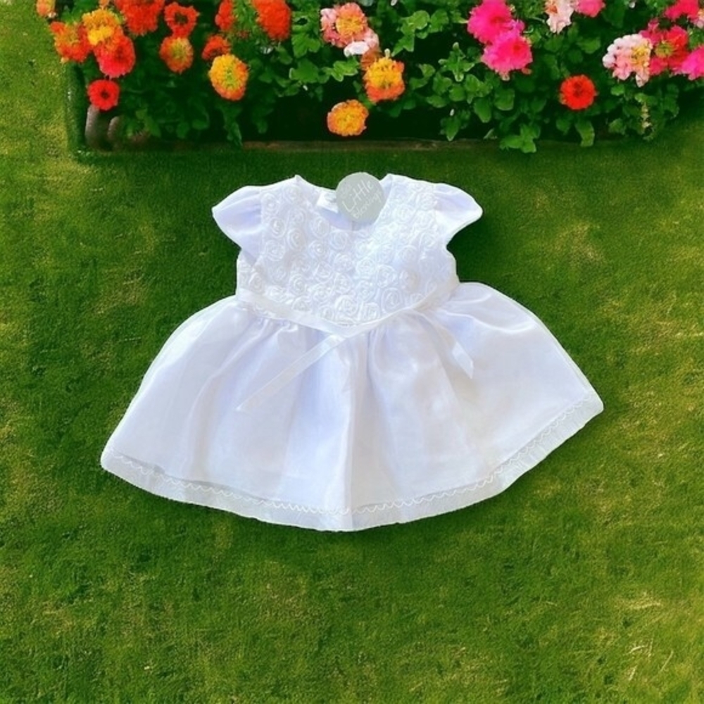 Little Blessings Baby Girl White Sheer Tulle Dress Rose Embroidered Princess NWT